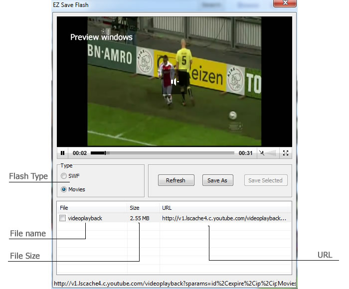 EZ Save Flash Preview windows